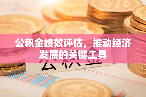 梧栖公积金绩效评估，推动经济发展的关键工具