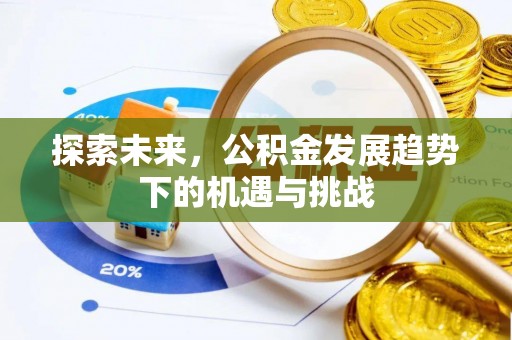 梧栖探索未来，公积金发展趋势下的机遇与挑战