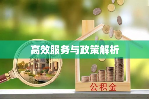 梧栖高效服务与政策解析