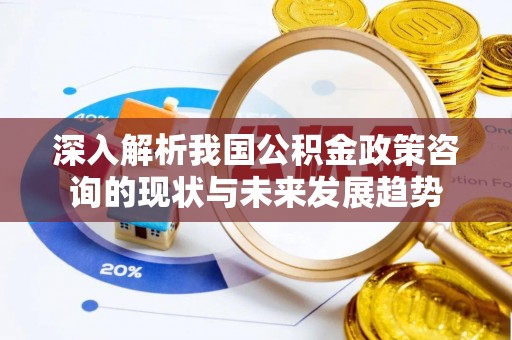 梧栖深入解析我国公积金政策咨询的现状与未来发展趋势