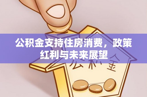 梧栖公积金支持住房消费，政策红利与未来展望