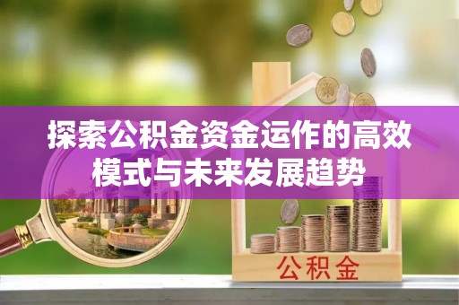 梧栖探索公积金资金运作的高效模式与未来发展趋势