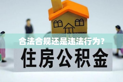 梧栖合法合规还是违法行为？