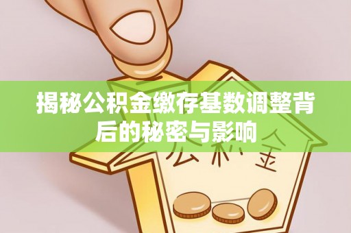 梧栖揭秘公积金缴存基数调整背后的秘密与影响